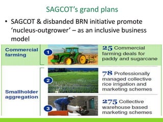 The politics of SAGCOT: Implications for small-scale producers and ...