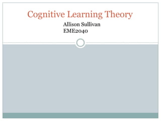 Cognitive Learning Theory
        Allison Sullivan
        EME2040
 