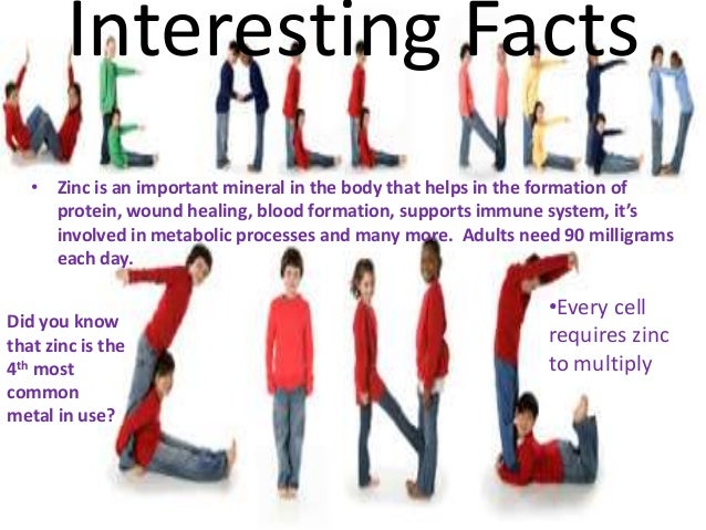 article review letter understanding
