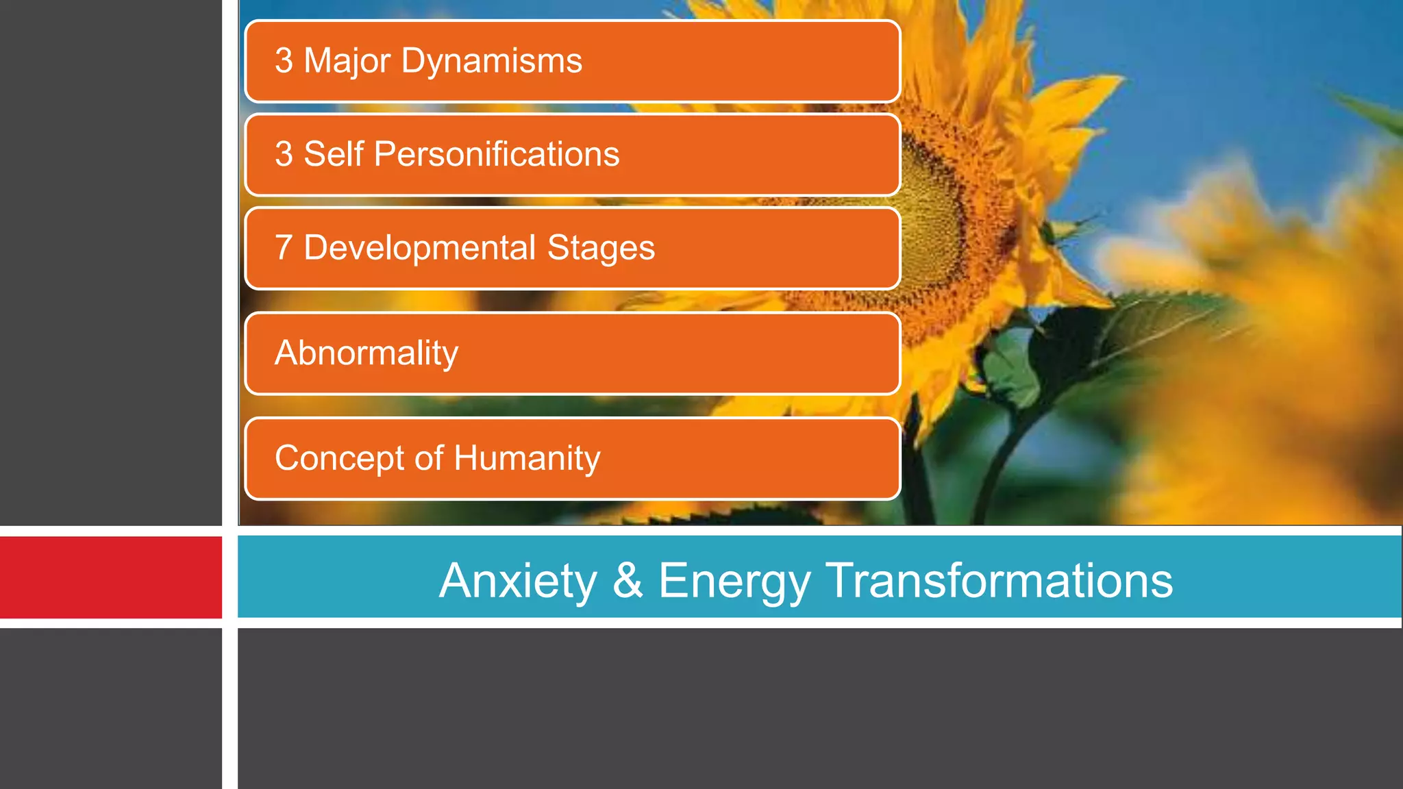 3 Major Dynamisms
3 Self Personifications
7 Developmental Stages
Abnormality
Concept of Humanity

Anxiety & Energy Transformations

 
