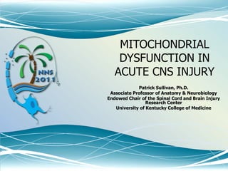 MITOCHONDRIAL DYSFUNCTION IN ACUTE CNS INJURY  Patrick Sullivan, Ph.D. Associate Professor of Anatomy & Neurobiology Endowed Chair of the Spinal Cord and Brain Injury Research Center University of Kentucky College of Medicine 