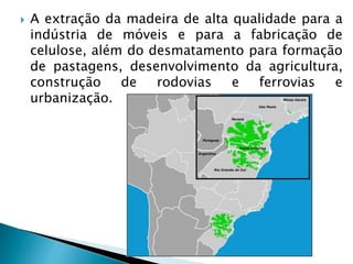  A extração da madeira de alta qualidade para a
indústria de móveis e para a fabricação de
celulose, além do desmatamento para formação
de pastagens, desenvolvimento da agricultura,
construção de rodovias e ferrovias e
urbanização.
 