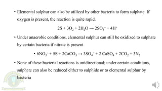 • Elemental sulphur can also be utilized by other bacteria to form sulphate. If
oxygen is present, the reaction is quite rapid.
2S + 3O2 + 2H2O → 2SO4
= + 4H+
• Under anaerobic conditions, elemental sulphur can still be oxidized to sulphate
by certain bacteria if nitrate is present
• 6NO3
– + 5S + 2CaCO3 → 3SO4
= + 2 CaSO4 + 2CO2 + 3N2
• None of these bacterial reactions is unidirectional; under certain conditions,
sulphate can also be reduced either to sulphide or to elemental sulphur by
bacteria
 