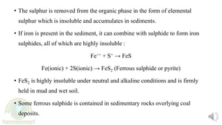 • The sulphur is removed from the organic phase in the form of elemental
sulphur which is insoluble and accumulates in sediments.
• If iron is present in the sediment, it can combine with sulphide to form iron
sulphides, all of which are highly insoluble :
Fe++ + S= → FeS
Fe(ionic) + 2S(ionic) → FeS2 (Ferrous sulphide or pyrite)
• FeS2 is highly insoluble under neutral and alkaline conditions and is firmly
held in mud and wet soil.
• Some ferrous sulphide is contained in sedimentary rocks overlying coal
deposits.
 