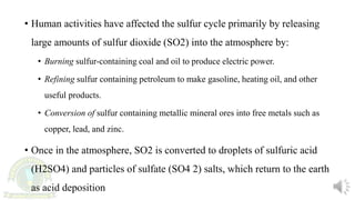 • Human activities have affected the sulfur cycle primarily by releasing
large amounts of sulfur dioxide (SO2) into the atmosphere by:
• Burning sulfur-containing coal and oil to produce electric power.
• Refining sulfur containing petroleum to make gasoline, heating oil, and other
useful products.
• Conversion of sulfur containing metallic mineral ores into free metals such as
copper, lead, and zinc.
• Once in the atmosphere, SO2 is converted to droplets of sulfuric acid
(H2SO4) and particles of sulfate (SO4 2) salts, which return to the earth
as acid deposition
 