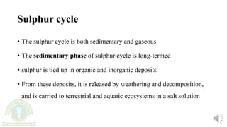 Sulphur cycle
• The sulphur cycle is both sedimentary and gaseous
• The sedimentary phase of sulphur cycle is long-termed
• sulphur is tied up in organic and inorganic deposits
• From these deposits, it is released by weathering and decomposition,
and is carried to terrestrial and aquatic ecosystems in a salt solution
 