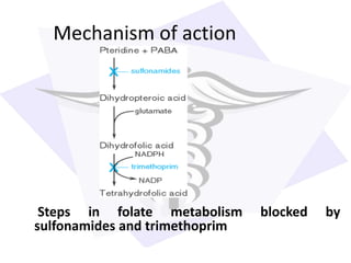 Mechanism of action
Steps in folate metabolism blocked by
sulfonamides and trimethoprim
 