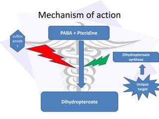 Mechanism of action
PABA + Pteridine
Dihydropteroate
Unique
target
sulfon
amide
s
Dihydropteroate
synthase
 