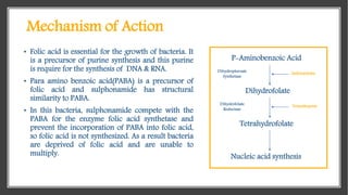 • Folic acid is essential for the growth of bacteria. It
is a precursor of purine synthesis and this purine
is require for...