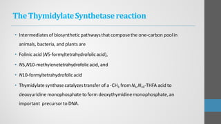 TheThymidylateSynthetasereaction
• Intermediatesof biosyntheticpathwaysthat composethe one-carbon poolin
animals, bacteria, and plants are
• Folinic acid (N5-formyltetrahydrofolicacid),
• N5,N10-methylenetetrahydrofolicacid, and
• N10-formyltetrahydrofolicacid
• Thymidylatesynthasecatalyzestransfer of a -CH3 fromN5,N10-THFA acid to
deoxyuridine monophosphate to form deoxythymidinemonophosphate,an
important precursor to DNA.
 