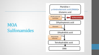 MOA
Sulfonamides
 