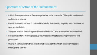 SpectrumofActionof theSulfonamides
• Inhibit Gram-positiveand Gram-negativebacteria, nocardia,Chlamydiatrachomatis,
and some protozoa.
• Entericbacteria, such as E. coli and Klebsiella, Salmonella, Shigella, and Enterobacter
spp. are inhibited.
• They are used in fixed drug combination TMP–SMXand many other antimicrobials.
• Resistantbacteria meningococci,pneumococci,streptococci,staphylococci,and
gonococci.
• Usefulin some urinary tract infectionsbecauseof their high excretion fraction
through the kidneys
 