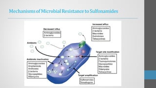 MechanismsofMicrobialResistancetoSulfonamides
 