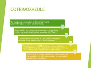 COTRIMOXAZOLE
The fixed dose combination of trimethoprim and
sulfamethoxazole is called cotrimoxazole.
Trimethoprim is a diaminopyrimidine which selectively
inhibits bacterial dihydrofolate reductase (DHFRase).
Cotrimoxazole introduced in 1969 causes sequential
block of folate metabolism as depicted in Fig.
Trimethoprim is >50,000 times more active against
bacterial DHFRase than against the mammalian enzyme.
Thus, human folate metabolism is not interfered
Individually, both sulfonamide and trimethoprim are
bacteriostatic, but the combination becomes cidal
against many organisms.
 