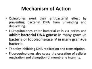 Mechanism of Action
• Quinolones exert their antibacterial effect by
preventing bacterial DNA from unwinding and
duplicating.
• Fluroquinolones enter bacterial cells via porins and
inhibit bacterial DNA gyrase in many gram-ve
bacteria or topoisomerase IV in many gram+ve
bacteria.
• Thereby inhibiting DNA replication and transcription.
• Fluoroquinolones also cause the cessation of cellular
respiration and disruption of membrane integrity.
 