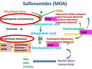 Sulfonamides (MOA)
Dihydropteridine + PABA
Sulfonamides (PABA analogues)
Sulfomethoxazole (Bacterial)
Sulfadiazine (Bacterial)
Sulfodoxine (Malarial)
Dihydropteroic acid Synthetase
Dihydropteroic acid
Glutamate
Dihydrofolic Acid
Timethoprim (Bacterial) /
Pyrimethamine (Malarial)
Dihydrofolate Reductase
Tetrahydrofolic Acid
Nucleic Bases
Amino Acids
RNA
DNA
Proteins
Folic
Acid
Dihydrofolate
Reductase
(Mammalian)
+ Cotrimoxazole
Cotrimazine
Static
Cidal
Static
 