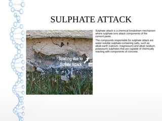 Sulphtes | ODP