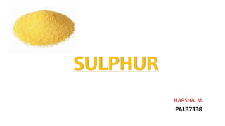 SULPHUR
HARSHA, M.
PALB7338
 