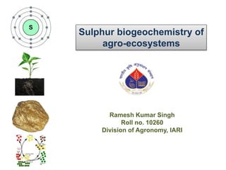 Sulphur biogeochemistry of 
agro-ecosystems 
Ramesh Kumar Singh 
Roll no. 10260 
Division of Agronomy, IARI 
 