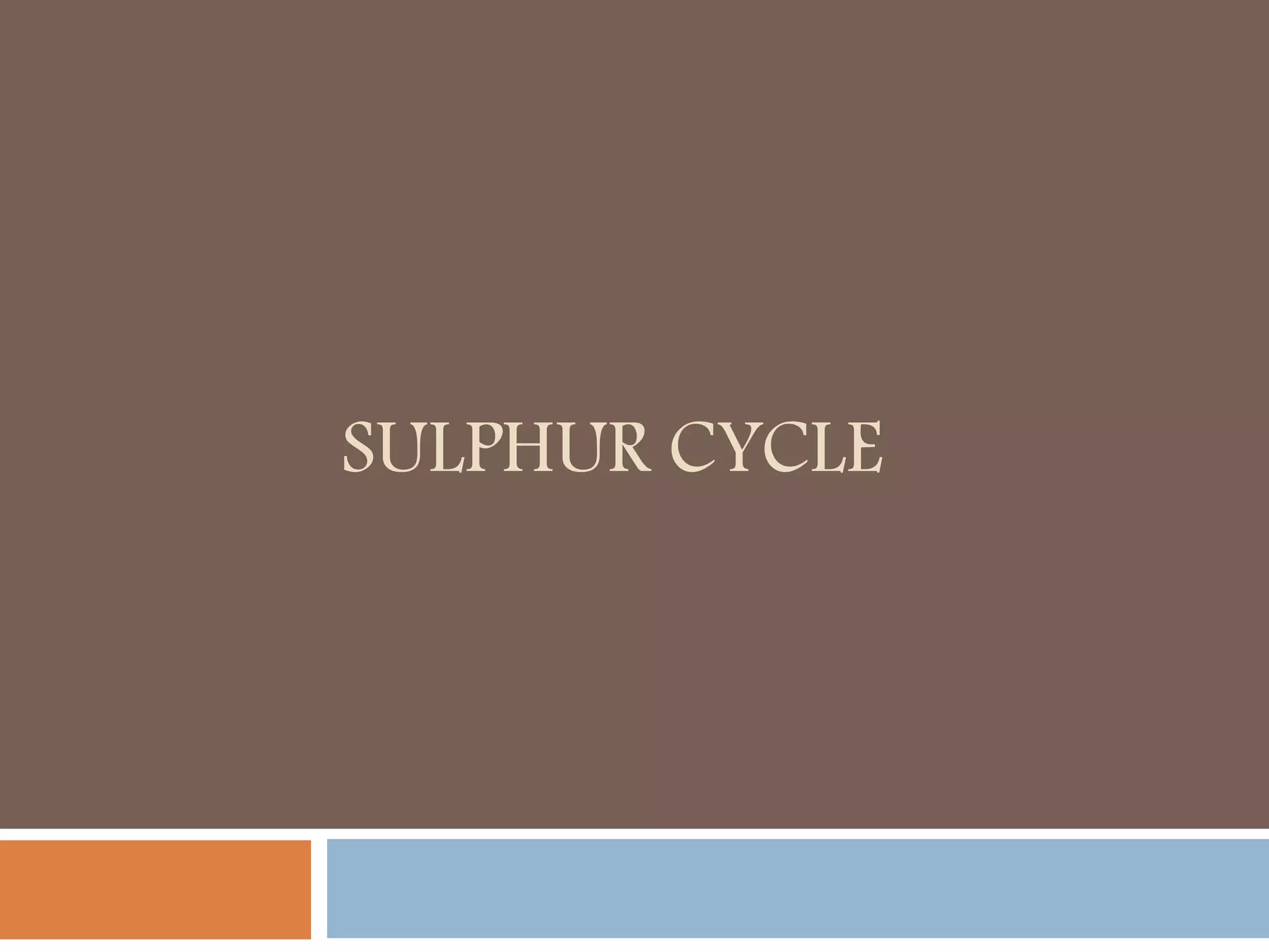 SULPHUR CYCLE
 