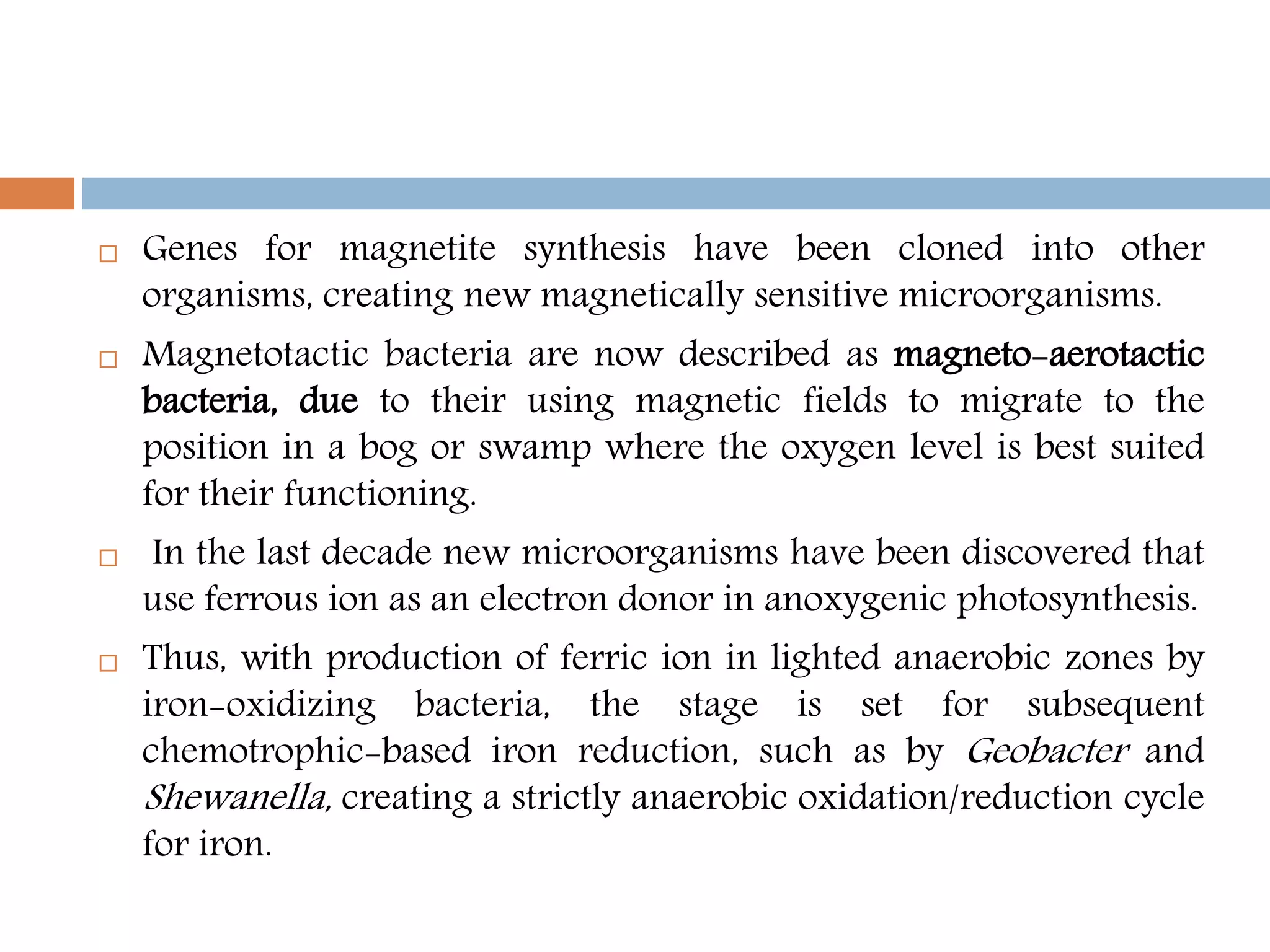  Genes for magnetite synthesis have been cloned into other
organisms, creating new magnetically sensitive microorganisms.
 Magnetotactic bacteria are now described as magneto-aerotactic
bacteria, due to their using magnetic fields to migrate to the
position in a bog or swamp where the oxygen level is best suited
for their functioning.
 In the last decade new microorganisms have been discovered that
use ferrous ion as an electron donor in anoxygenic photosynthesis.
 Thus, with production of ferric ion in lighted anaerobic zones by
iron-oxidizing bacteria, the stage is set for subsequent
chemotrophic-based iron reduction, such as by Geobacter and
Shewanella, creating a strictly anaerobic oxidation/reduction cycle
for iron.
 
