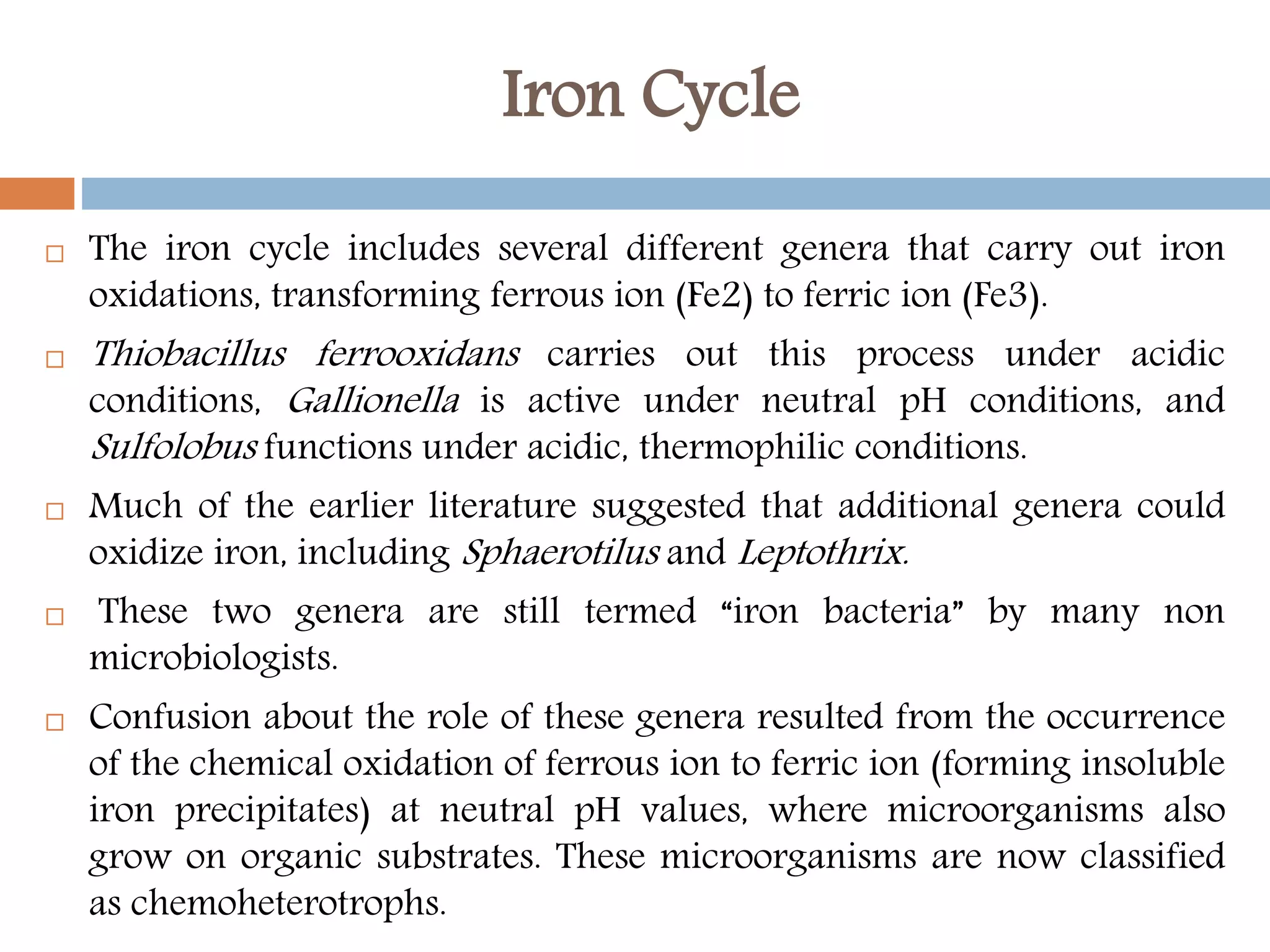 Iron Cycle
 The iron cycle includes several different genera that carry out iron
oxidations, transforming ferrous ion (Fe2) to ferric ion (Fe3).
 Thiobacillus ferrooxidans carries out this process under acidic
conditions, Gallionella is active under neutral pH conditions, and
Sulfolobus functions under acidic, thermophilic conditions.
 Much of the earlier literature suggested that additional genera could
oxidize iron, including Sphaerotilus and Leptothrix.
 These two genera are still termed “iron bacteria” by many non
microbiologists.
 Confusion about the role of these genera resulted from the occurrence
of the chemical oxidation of ferrous ion to ferric ion (forming insoluble
iron precipitates) at neutral pH values, where microorganisms also
grow on organic substrates. These microorganisms are now classified
as chemoheterotrophs.
 