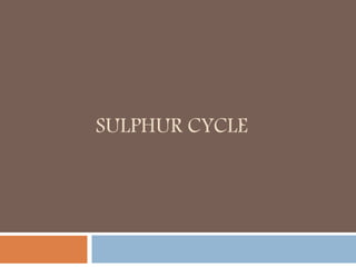 SULPHUR CYCLE
 