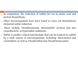  In comparison, the reduction of sulfate for use in amino acid and
protein biosynthesis.
 Other microorganisms have been found to carry out dissimilatory
elemental sulfur reduction.
 These include Desulfuromonas, thermophilic archaea and also
cyanobacteria in hypersaline sediments.
 Sulfite is another critical intermediate that can be reduced to sulfide
by a wide variety of microorganisms, including Alteromonas and
Clostridium, as well as Desulfovibrio and Desulfotomaculum.
 