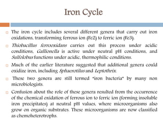 Iron Cycle
 The iron cycle includes several different genera that carry out iron
oxidations, transforming ferrous ion (Fe2) to ferric ion (Fe3).
 Thiobacillus ferrooxidans carries out this process under acidic
conditions, Gallionella is active under neutral pH conditions, and
Sulfolobus functions under acidic, thermophilic conditions.
 Much of the earlier literature suggested that additional genera could
oxidize iron, including Sphaerotilus and Leptothrix.
 These two genera are still termed “iron bacteria” by many non
microbiologists.
 Confusion about the role of these genera resulted from the occurrence
of the chemical oxidation of ferrous ion to ferric ion (forming insoluble
iron precipitates) at neutral pH values, where microorganisms also
grow on organic substrates. These microorganisms are now classified
as chemoheterotrophs.
 