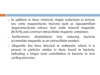 In addition to these relatively simple reductions to ferrous
ion, some magnetotactic bacteria such as Aquaspirillum
magnetotacticum valence iron oxide mineral magnetite
(Fe3O4) and construct intracellular magnetic compasses.
 Furthermore, dissimilatory iron reducing bacteria
accumulate magnetite as an extracellular product.
 Magnetite has been detected in sediments, where it is
present in particles similar to those found in bacteria,
indicating a longer term contribution of bacteria to iron
cycling processes.
 