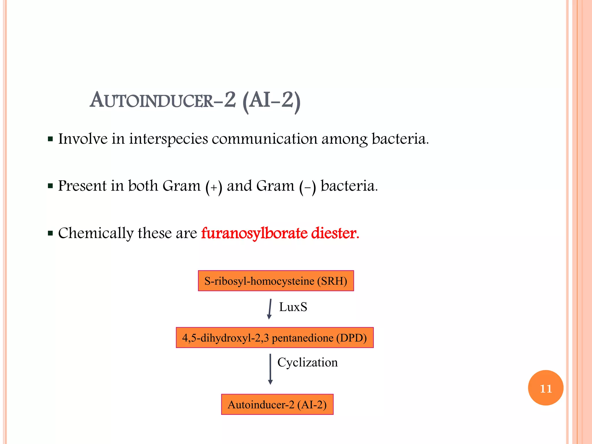 AUTOINDUCER-2 (AI-2)
 Involve in interspecies communication among bacteria.
 Present in both Gram (+) and Gram (-) bacteria.
 Chemically these are furanosylborate diester.
S-ribosyl-homocysteine (SRH)
4,5-dihydroxyl-2,3 pentanedione (DPD)
Autoinducer-2 (AI-2)
LuxS
Cyclization
11
 