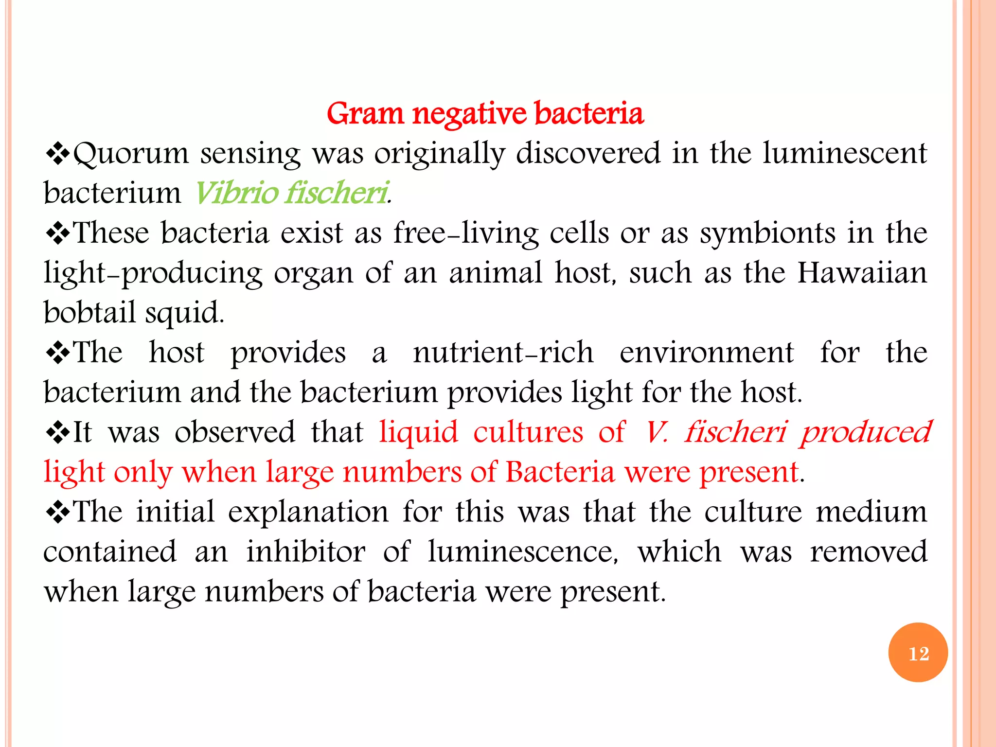 Gram negative bacteria
Quorum sensing was originally discovered in the luminescent
bacterium Vibrio fischeri.
These bacteria exist as free-living cells or as symbionts in the
light-producing organ of an animal host, such as the Hawaiian
bobtail squid.
The host provides a nutrient-rich environment for the
bacterium and the bacterium provides light for the host.
It was observed that liquid cultures of V. fischeri produced
light only when large numbers of Bacteria were present.
The initial explanation for this was that the culture medium
contained an inhibitor of luminescence, which was removed
when large numbers of bacteria were present.
12
 