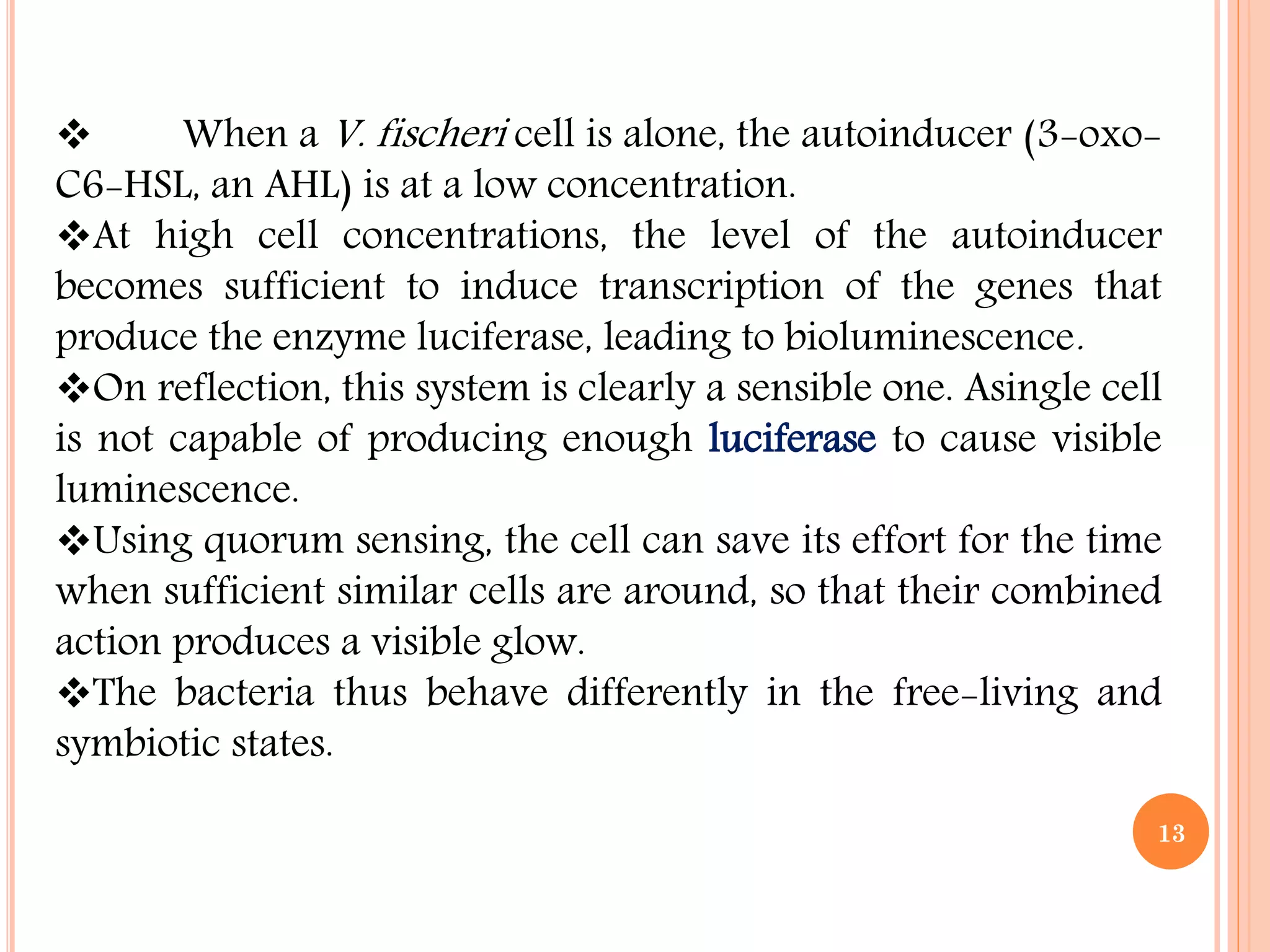 When a V. fischeri cell is alone, the autoinducer (3-oxo-
C6-HSL, an AHL) is at a low concentration.
At high cell concentrations, the level of the autoinducer
becomes sufficient to induce transcription of the genes that
produce the enzyme luciferase, leading to bioluminescence.
On reflection, this system is clearly a sensible one. Asingle cell
is not capable of producing enough luciferase to cause visible
luminescence.
Using quorum sensing, the cell can save its effort for the time
when sufficient similar cells are around, so that their combined
action produces a visible glow.
The bacteria thus behave differently in the free-living and
symbiotic states.
13
 
