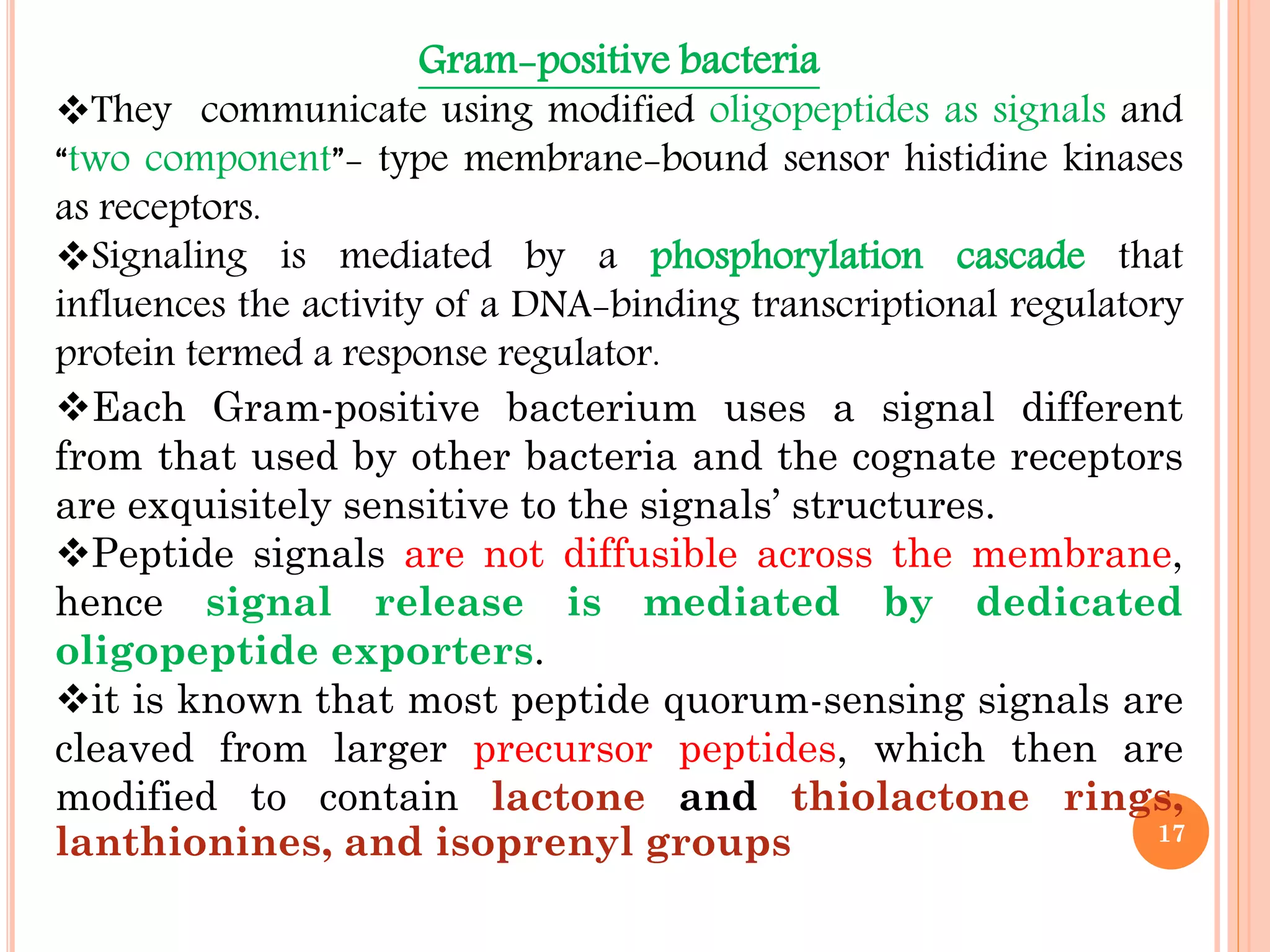 Gram-positive bacteria
They communicate using modified oligopeptides as signals and
“two component”- type membrane-bound sensor histidine kinases
as receptors.
Signaling is mediated by a phosphorylation cascade that
influences the activity of a DNA-binding transcriptional regulatory
protein termed a response regulator.
Each Gram-positive bacterium uses a signal different
from that used by other bacteria and the cognate receptors
are exquisitely sensitive to the signals’ structures.
Peptide signals are not diffusible across the membrane,
hence signal release is mediated by dedicated
oligopeptide exporters.
it is known that most peptide quorum-sensing signals are
cleaved from larger precursor peptides, which then are
modified to contain lactone and thiolactone rings,
lanthionines, and isoprenyl groups 17
 