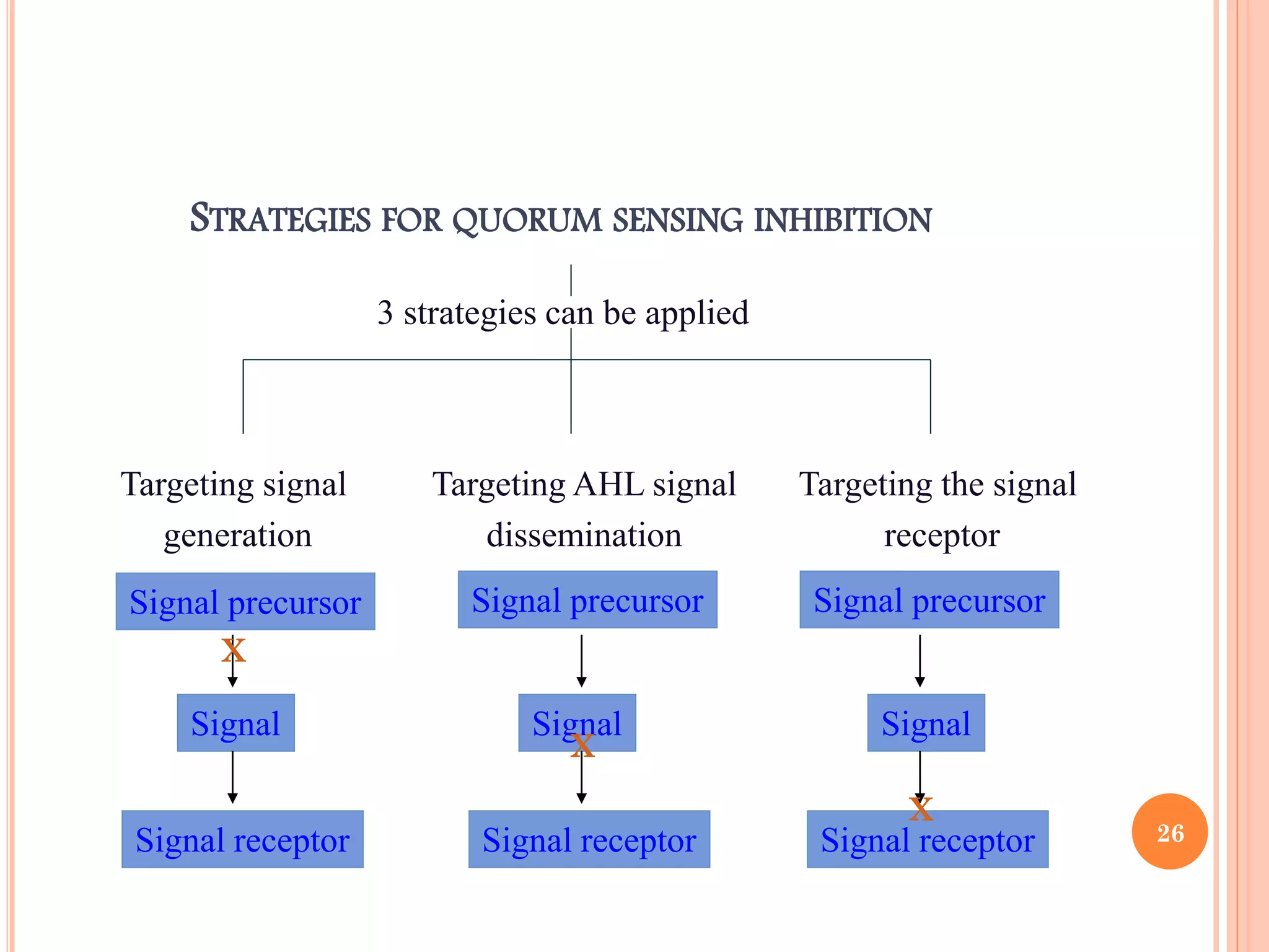 STRATEGIES FOR QUORUM SENSING INHIBITION
3 strategies can be applied
Targeting AHL signal
dissemination
Targeting the signal
receptor
Targeting signal
generation
Signal precursor
Signal
Signal receptor
Signal precursor Signal precursor
Signal Signal
Signal receptor Signal receptor
X
X
X
26
 