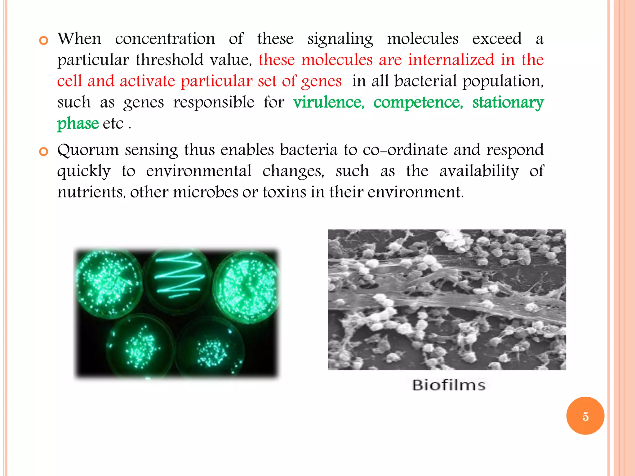  When concentration of these signaling molecules exceed a
particular threshold value, these molecules are internalized in the
cell and activate particular set of genes in all bacterial population,
such as genes responsible for virulence, competence, stationary
phase etc .
 Quorum sensing thus enables bacteria to co-ordinate and respond
quickly to environmental changes, such as the availability of
nutrients, other microbes or toxins in their environment.
5
 