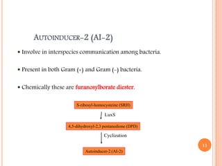 AUTOINDUCER-2 (AI-2)
 Involve in interspecies communication among bacteria.
 Present in both Gram (+) and Gram (-) bacteria.
 Chemically these are furanosylborate diester.
S-ribosyl-homocysteine (SRH)
4,5-dihydroxyl-2,3 pentanedione (DPD)
Autoinducer-2 (AI-2)
LuxS
Cyclization
11
 