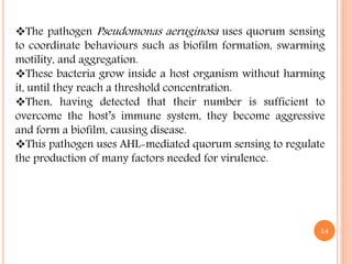 The pathogen Pseudomonas aeruginosa uses quorum sensing
to coordinate behaviours such as biofilm formation, swarming
motility, and aggregation.
These bacteria grow inside a host organism without harming
it, until they reach a threshold concentration.
Then, having detected that their number is sufficient to
overcome the host’s immune system, they become aggressive
and form a biofilm, causing disease.
This pathogen uses AHL-mediated quorum sensing to regulate
the production of many factors needed for virulence.
14
 