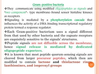 Gram-positive bacteria
They communicate using modified oligopeptides as signals and
“two component”- type membrane-bound sensor histidine kinases
as receptors.
Signaling is mediated by a phosphorylation cascade that
influences the activity of a DNA-binding transcriptional regulatory
protein termed a response regulator.
Each Gram-positive bacterium uses a signal different
from that used by other bacteria and the cognate receptors
are exquisitely sensitive to the signals’ structures.
Peptide signals are not diffusible across the membrane,
hence signal release is mediated by dedicated
oligopeptide exporters.
it is known that most peptide quorum-sensing signals are
cleaved from larger precursor peptides, which then are
modified to contain lactone and thiolactone rings,
lanthionines, and isoprenyl groups 17
 