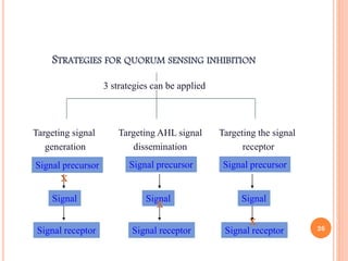 STRATEGIES FOR QUORUM SENSING INHIBITION
3 strategies can be applied
Targeting AHL signal
dissemination
Targeting the signal
receptor
Targeting signal
generation
Signal precursor
Signal
Signal receptor
Signal precursor Signal precursor
Signal Signal
Signal receptor Signal receptor
X
X
X
26
 