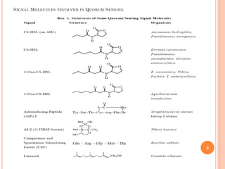 SIGNAL MOLECULES INVOLVED IN QUORUM SENSING
8
 