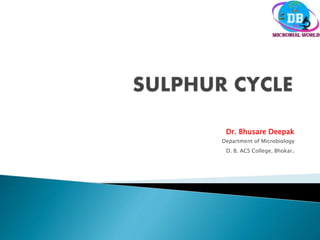 Dr. Bhusare Deepak
Department of Microbiology
D. B. ACS College, Bhokar.
 