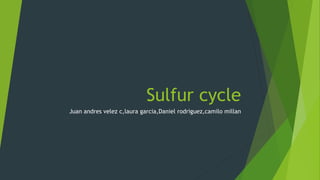 Sulfur cycle
Juan andres velez c,laura garcia,Daniel rodriguez,camilo millan
 