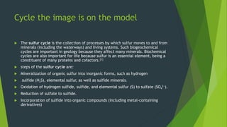 Cycle the image is on the model
 The sulfur cycle is the collection of processes by which sulfur moves to and from
minerals (including the waterways) and living systems. Such biogeochemical
cycles are important in geology because they affect many minerals. Biochemical
cycles are also important for life because sulfur is an essential element, being a
constituent of many proteins and cofactors.[1]
 steps of the sulfur cycle are:
 Mineralization of organic sulfur into inorganic forms, such as hydrogen
 sulfide (H2S), elemental sulfur, as well as sulfide minerals.
 Oxidation of hydrogen sulfide, sulfide, and elemental sulfur (S) to sulfate (SO4
2−).
 Reduction of sulfate to sulfide.
 Incorporation of sulfide into organic compounds (including metal-containing
derivatives)
 
