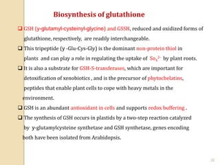glutathione supplement serbia L-Glutathione Reduced - Super Antioxidant - 320mg Premium Glutathione
