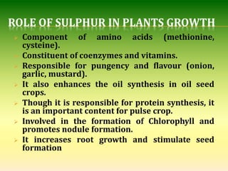 Sulphur nutrition in plants | PPTX