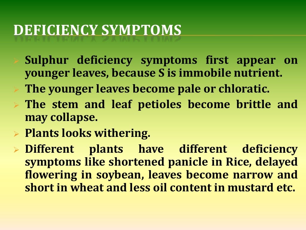 Sulphur nutrition in plants