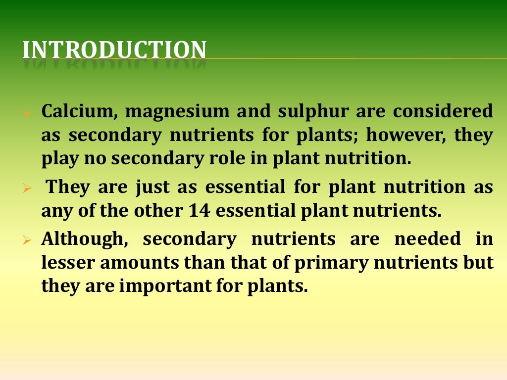 Sulphur nutrition in plants