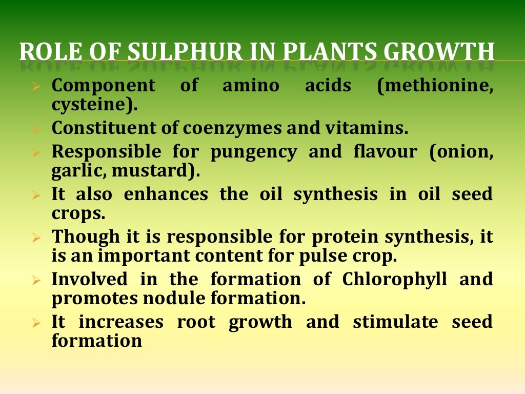 Sulphur nutrition in plants