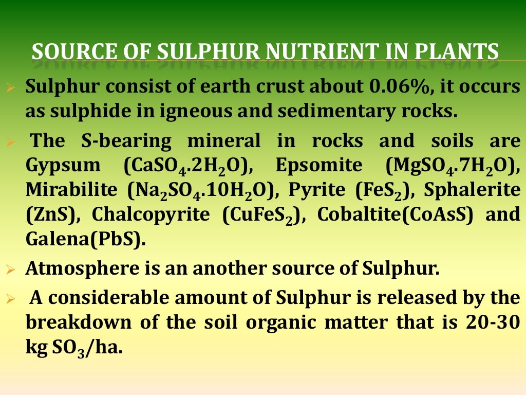 Sulphur nutrition in plants